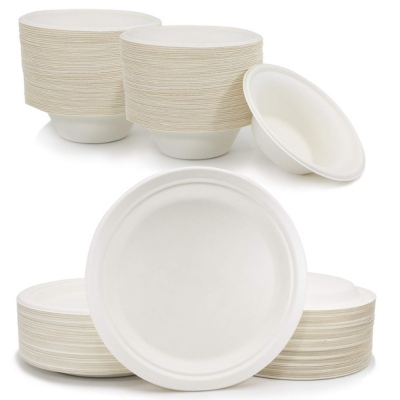 Disposable Plates & Bowls