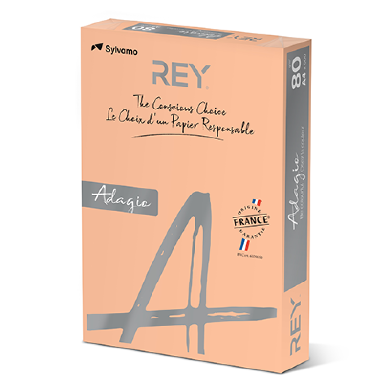 Paper a4 80 gsm salmon - ream of 500 sheets 